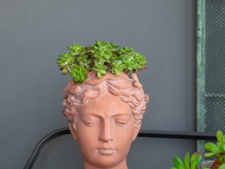 D7x11  Visage Head Bust Planter, Brown Sale