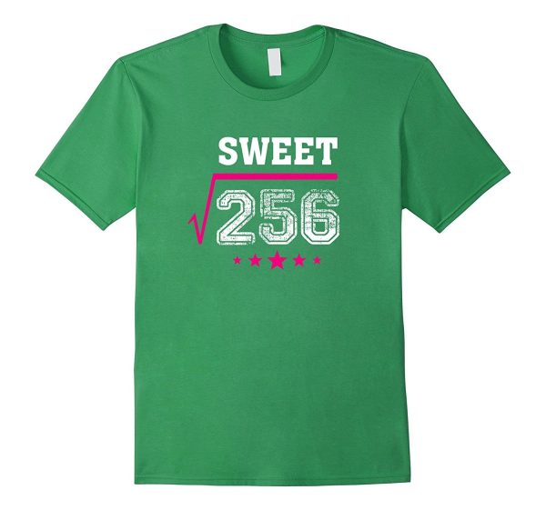 Square Root of 256 Sweet 16 Years Old 16th Birthday T-Shirt Hot on Sale