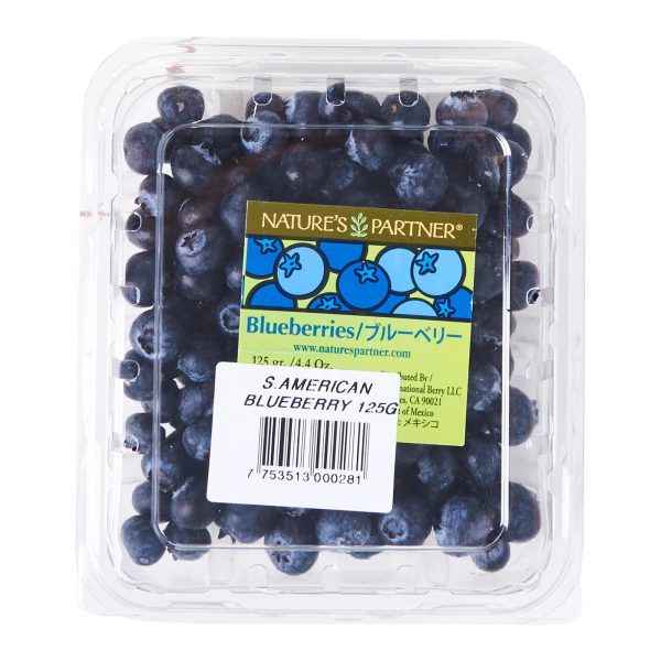 Blueberries Fashion