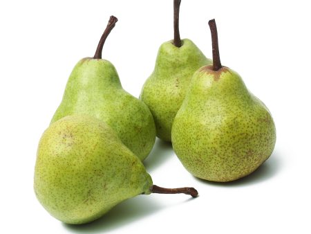 Packham Pears Online Hot Sale