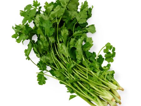 Givvo Chinese Parsley Coriander Online