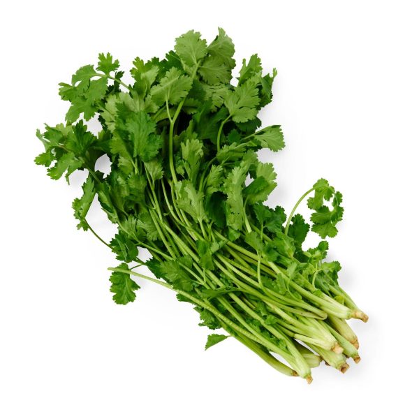 Givvo Chinese Parsley Coriander Online