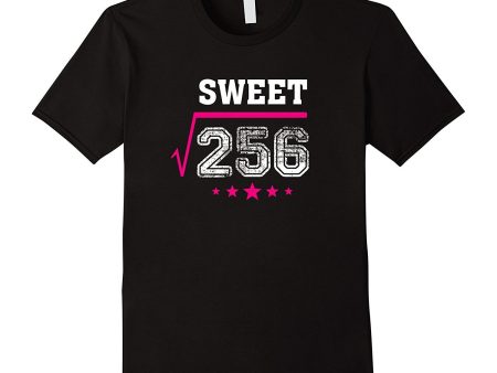 Square Root of 256 Sweet 16 Years Old 16th Birthday T-Shirt Hot on Sale