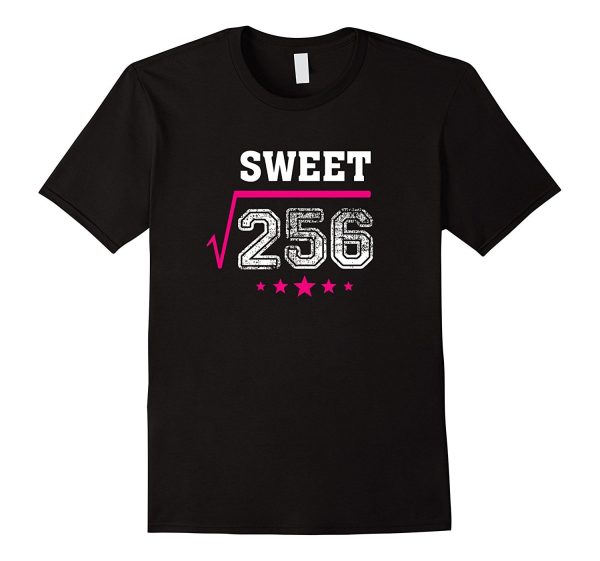 Square Root of 256 Sweet 16 Years Old 16th Birthday T-Shirt Hot on Sale