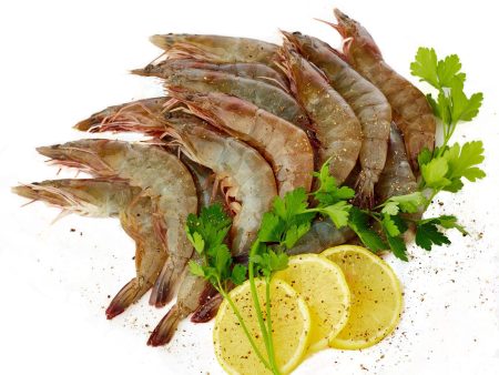 Grey Vannamei Prawns Hot on Sale